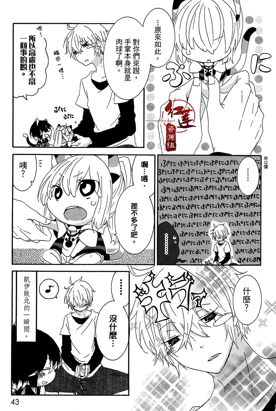 《喵居生活》漫画最新章节第6话免费下拉式在线观看章节第【3】张图片