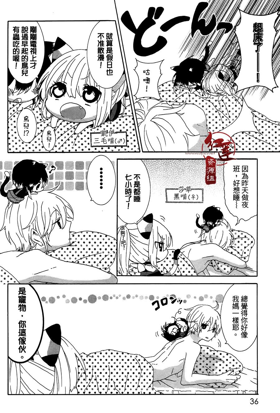 《喵居生活》漫画最新章节第5话免费下拉式在线观看章节第【2】张图片