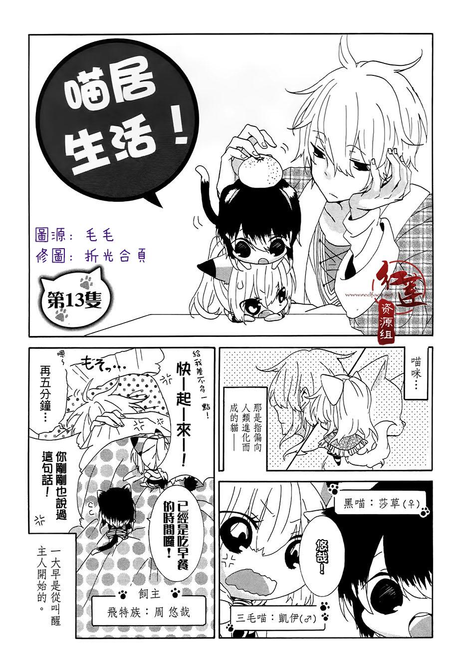 《喵居生活》漫画最新章节第13话免费下拉式在线观看章节第【1】张图片