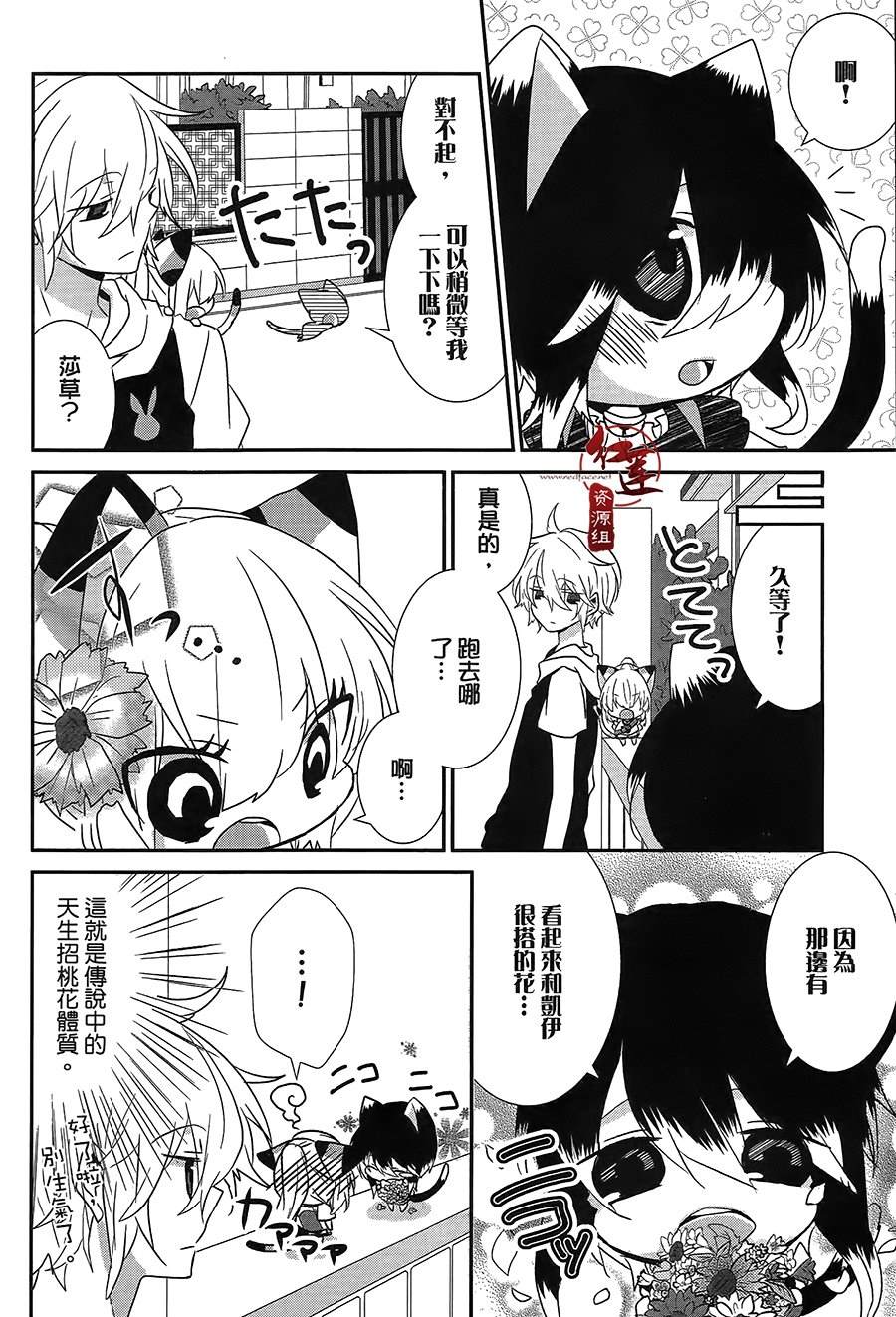 《喵居生活》漫画最新章节第37话免费下拉式在线观看章节第【4】张图片