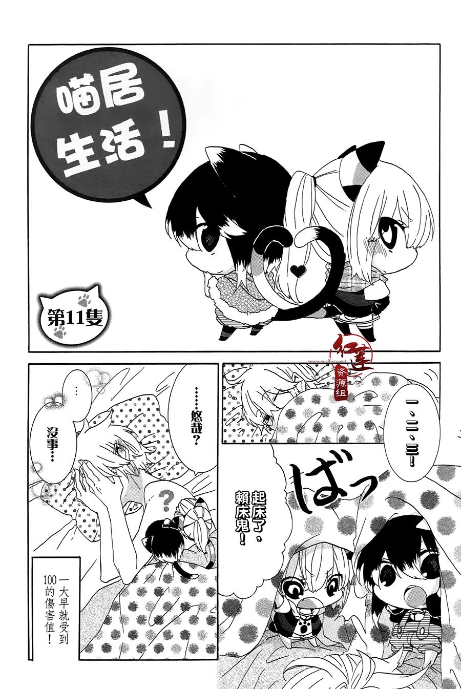 《喵居生活》漫画最新章节第11话免费下拉式在线观看章节第【1】张图片