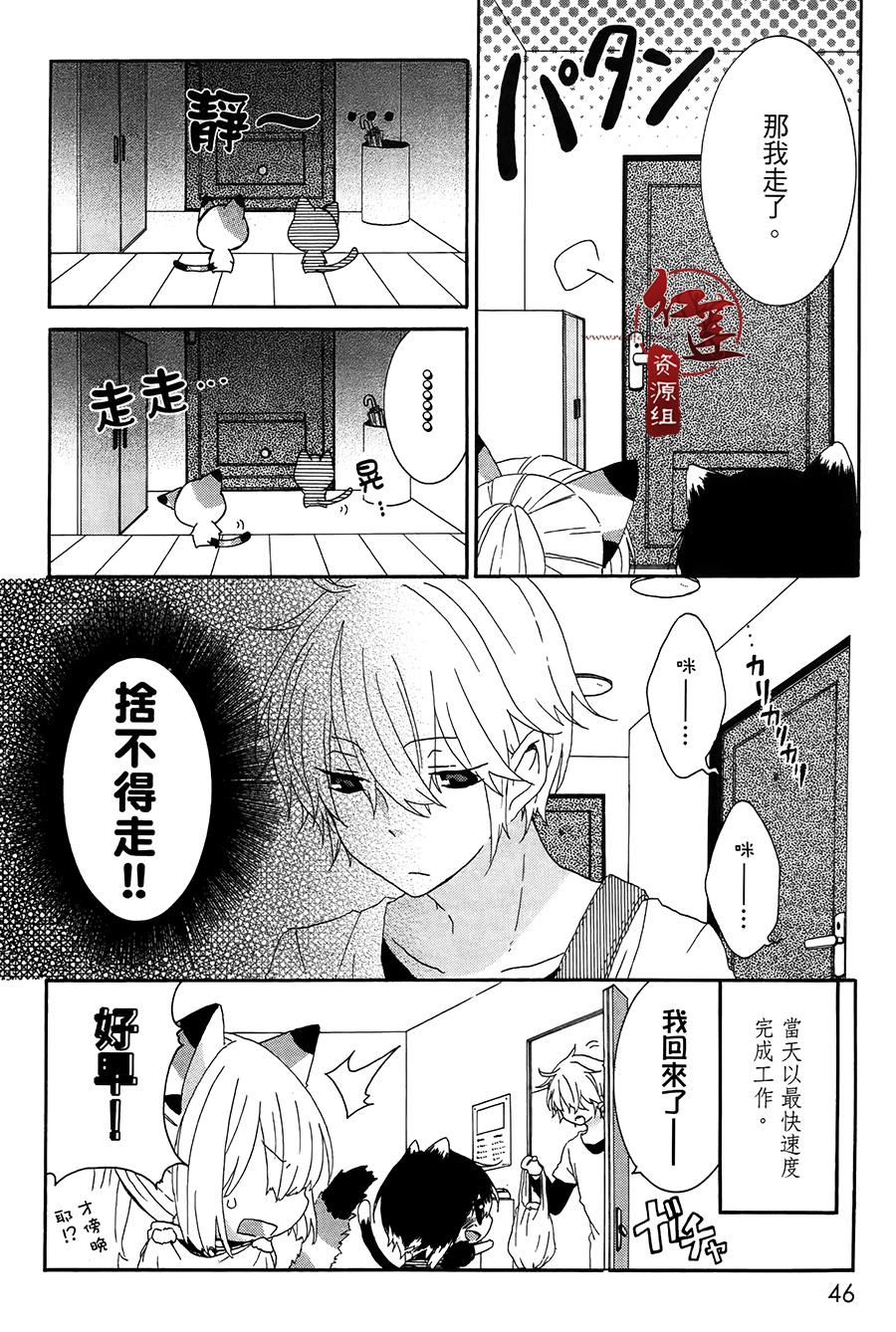 《喵居生活》漫画最新章节第6话免费下拉式在线观看章节第【6】张图片