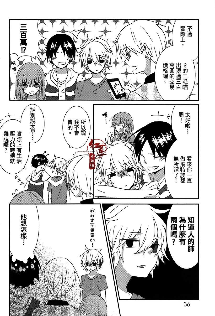 《喵居生活》漫画最新章节第31话免费下拉式在线观看章节第【4】张图片