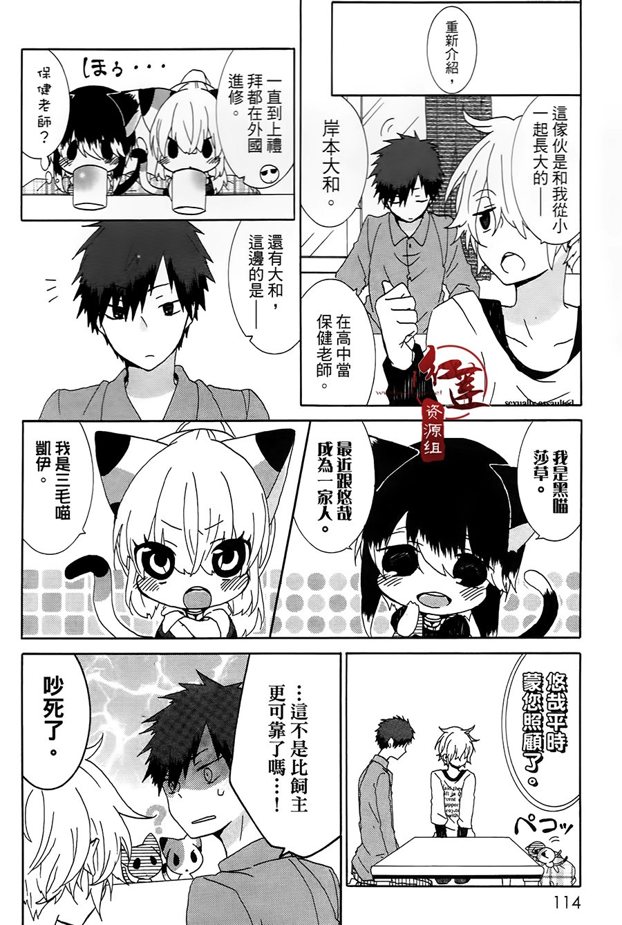 《喵居生活》漫画最新章节第19话免费下拉式在线观看章节第【4】张图片
