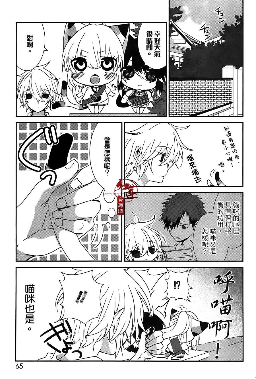 《喵居生活》漫画最新章节第37话免费下拉式在线观看章节第【3】张图片