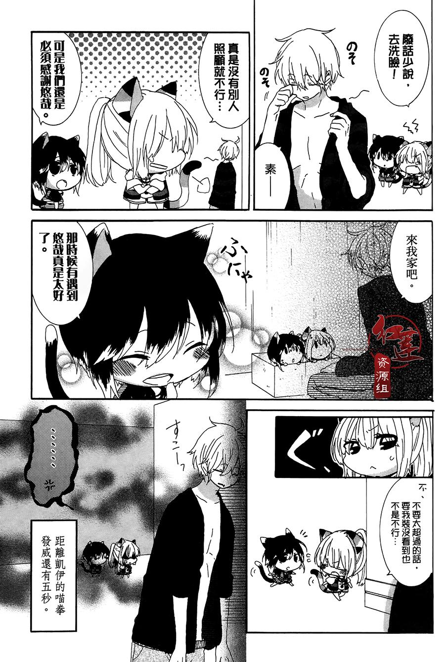 《喵居生活》漫画最新章节第5话免费下拉式在线观看章节第【3】张图片