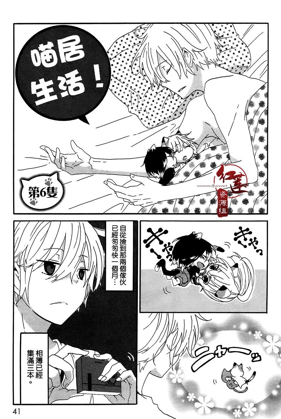 《喵居生活》漫画最新章节第6话免费下拉式在线观看章节第【1】张图片