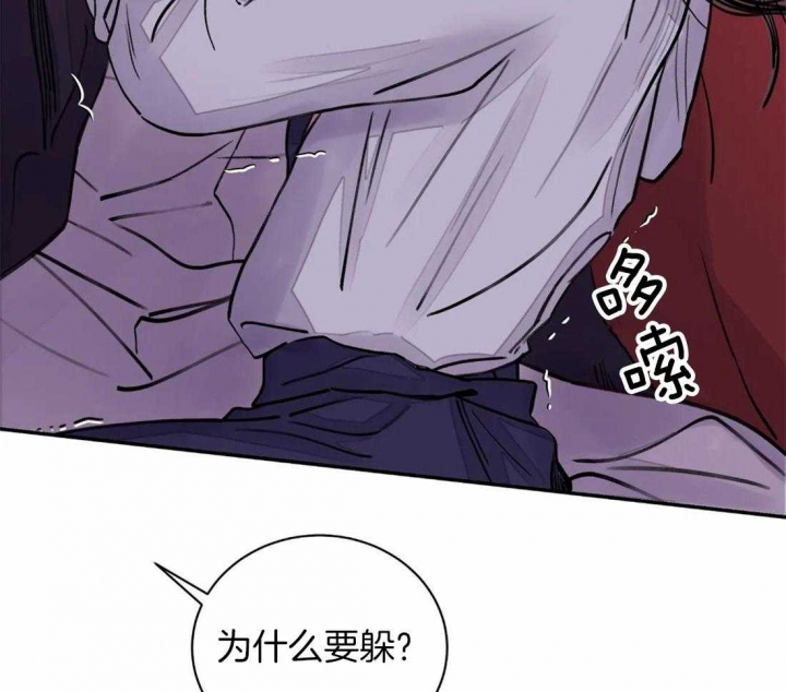 《剑与花》漫画最新章节第17话免费下拉式在线观看章节第【17】张图片