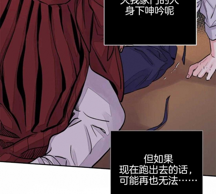 《剑与花》漫画最新章节第17话免费下拉式在线观看章节第【28】张图片