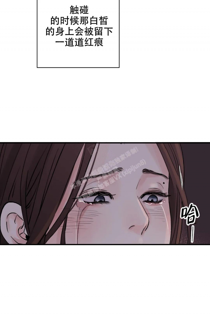 《剑与花》漫画最新章节第37话免费下拉式在线观看章节第【11】张图片