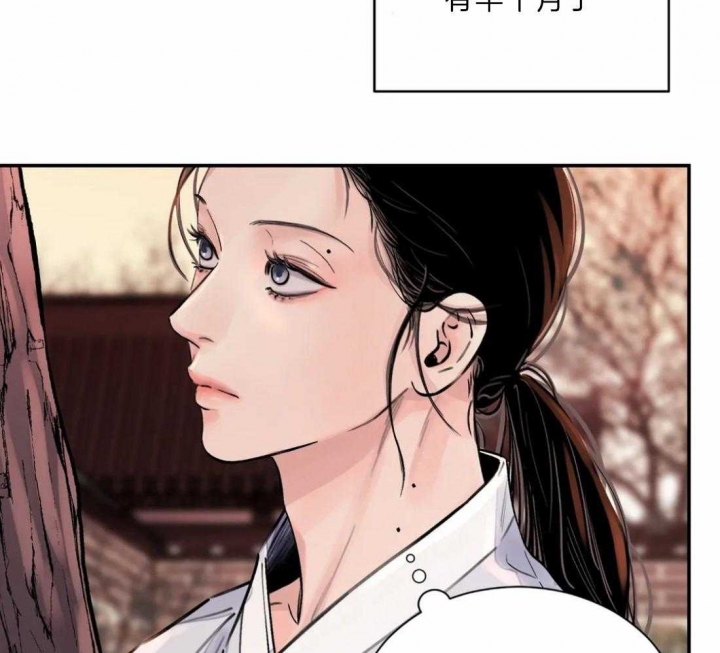 《剑与花》漫画最新章节第13话免费下拉式在线观看章节第【23】张图片