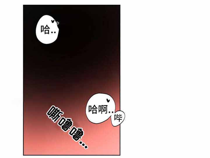 《与布鲁同居的日子》漫画最新章节第5话免费下拉式在线观看章节第【13】张图片