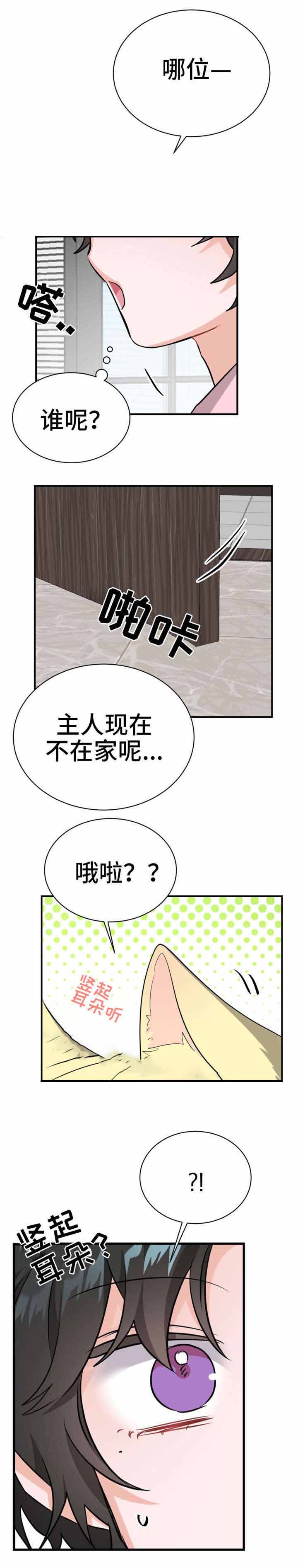 《与布鲁同居的日子》漫画最新章节第15话免费下拉式在线观看章节第【11】张图片