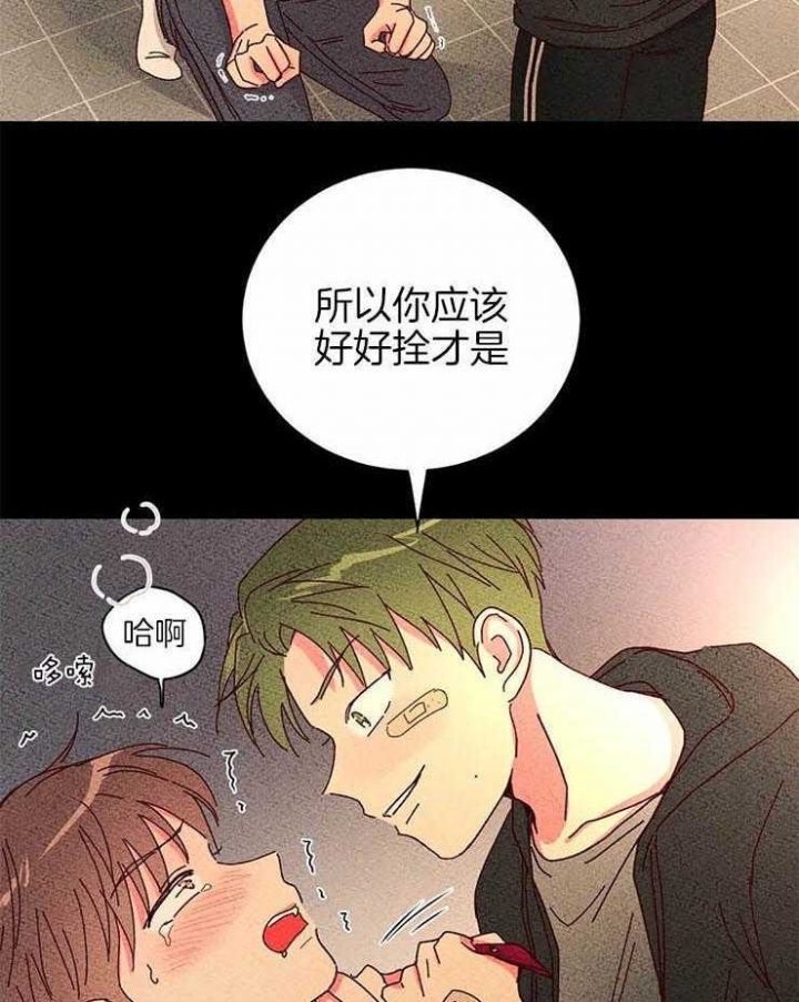 《理事的甜点》漫画最新章节第54话免费下拉式在线观看章节第【13】张图片