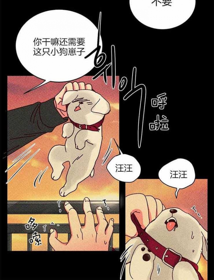 《理事的甜点》漫画最新章节第54话免费下拉式在线观看章节第【8】张图片