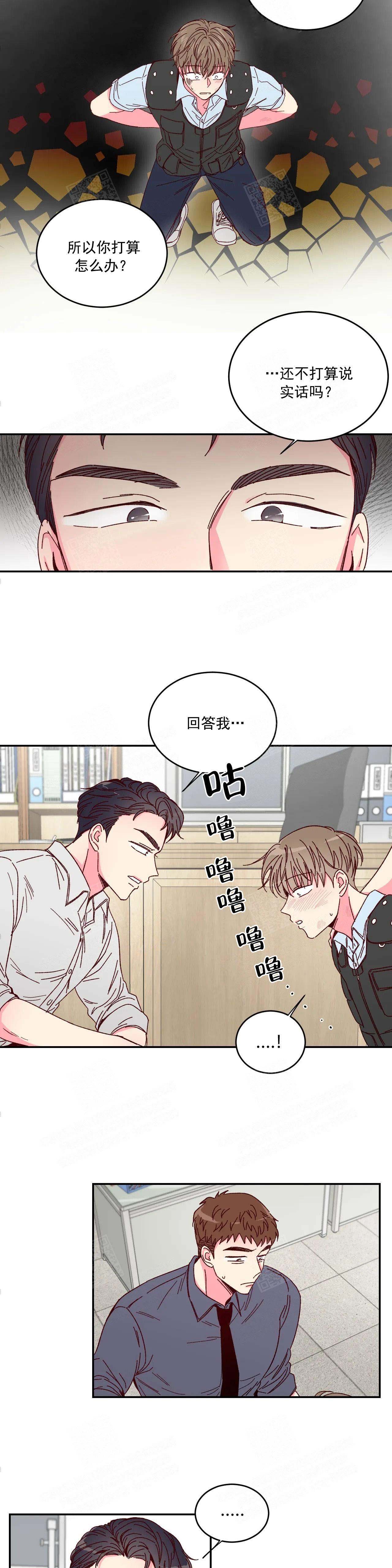 《理事的甜点》漫画最新章节第2话免费下拉式在线观看章节第【3】张图片