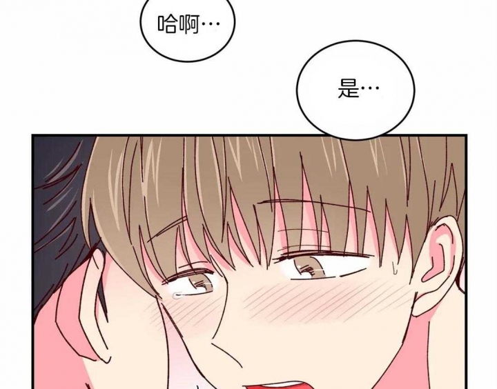 《理事的甜点》漫画最新章节第67话免费下拉式在线观看章节第【34】张图片