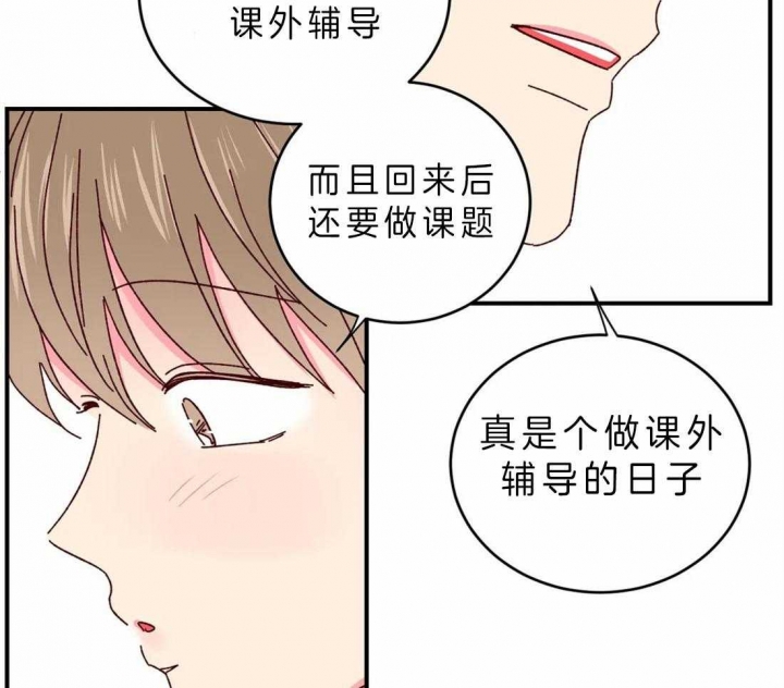 《理事的甜点》漫画最新章节第51话免费下拉式在线观看章节第【17】张图片