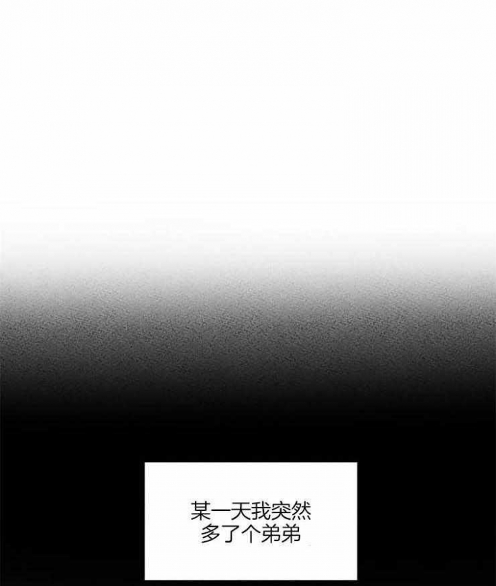 《理事的甜点》漫画最新章节第53话免费下拉式在线观看章节第【28】张图片