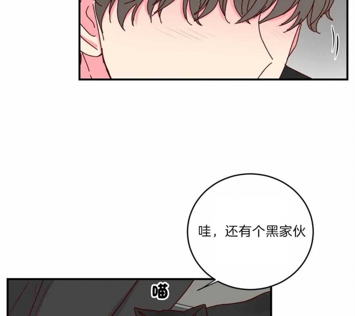 《理事的甜点》漫画最新章节第40话免费下拉式在线观看章节第【33】张图片