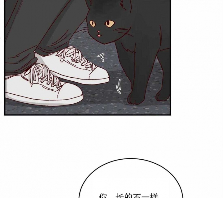 《理事的甜点》漫画最新章节第40话免费下拉式在线观看章节第【34】张图片