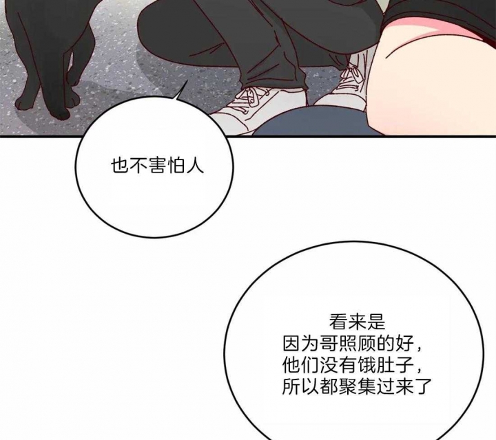 《理事的甜点》漫画最新章节第40话免费下拉式在线观看章节第【36】张图片