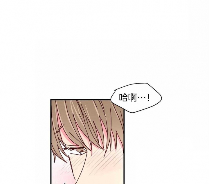 《理事的甜点》漫画最新章节第67话免费下拉式在线观看章节第【12】张图片