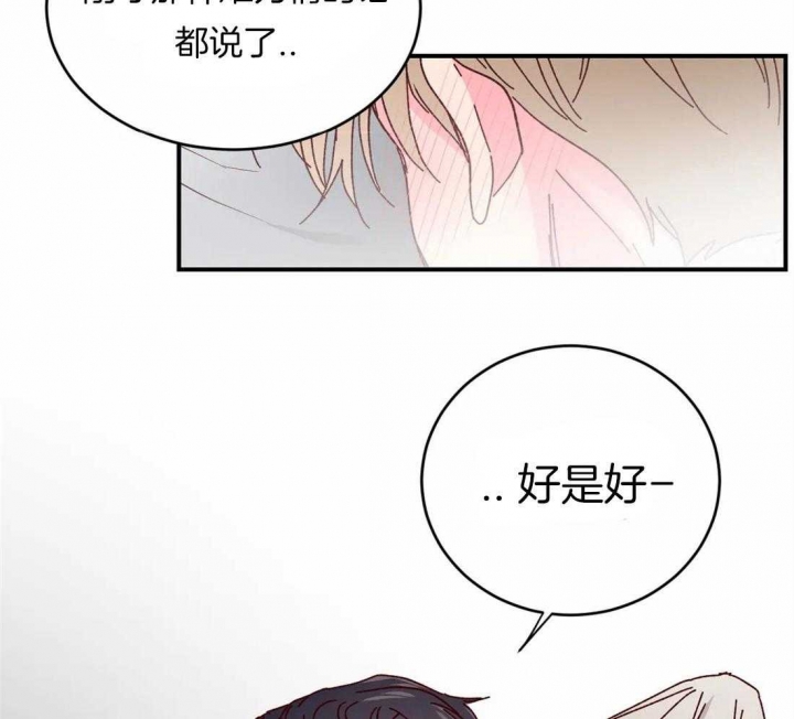 《理事的甜点》漫画最新章节第49话免费下拉式在线观看章节第【11】张图片