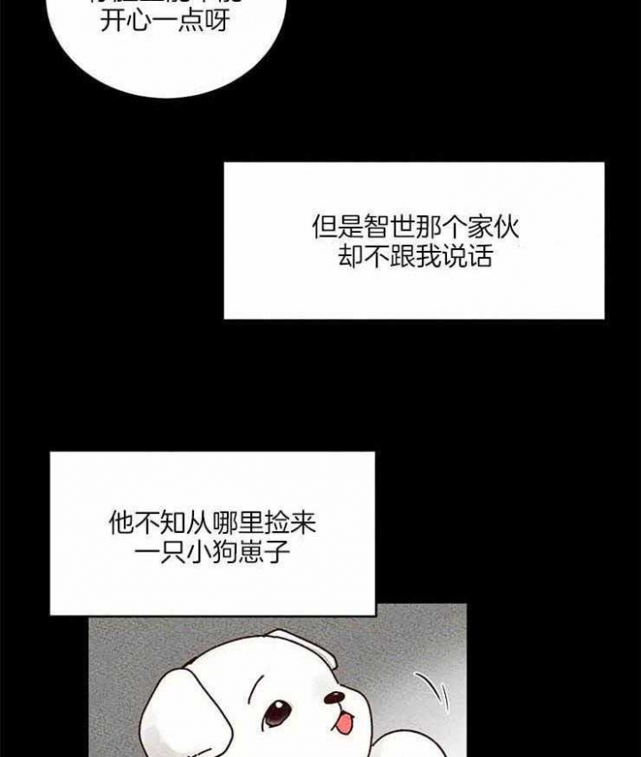 《理事的甜点》漫画最新章节第53话免费下拉式在线观看章节第【33】张图片