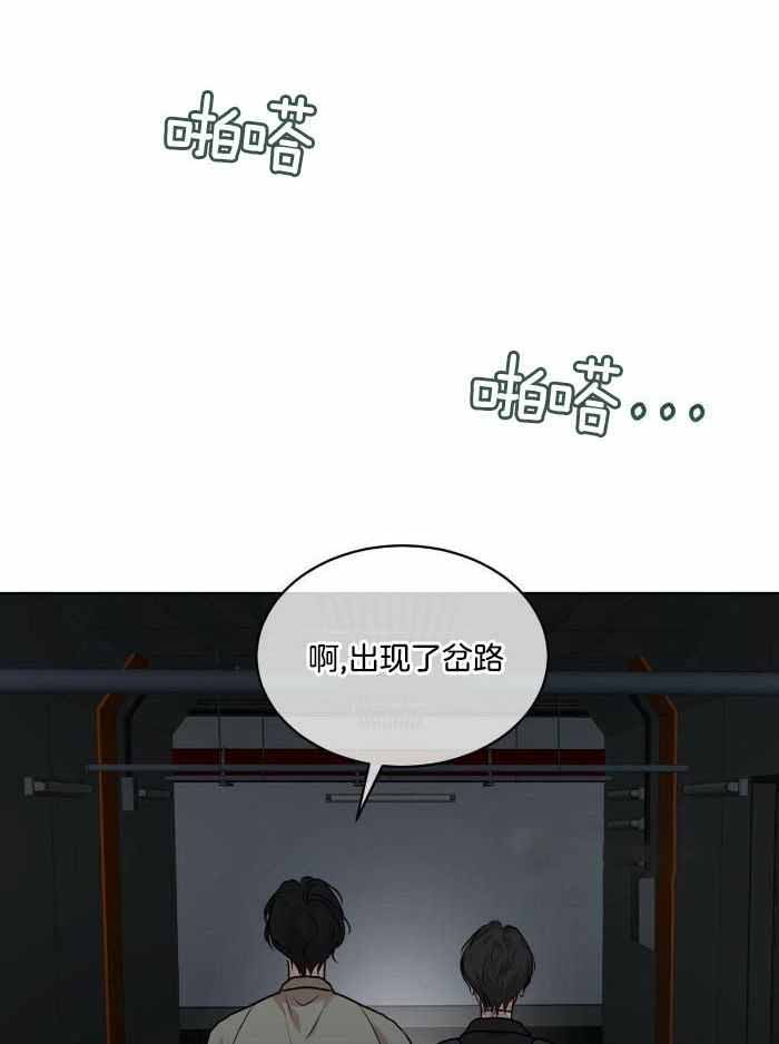 《物种起源》漫画最新章节第104话免费下拉式在线观看章节第【20】张图片