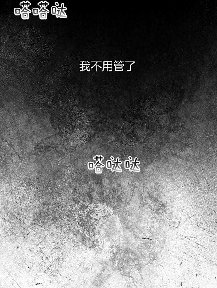 《物种起源》漫画最新章节第49话免费下拉式在线观看章节第【12】张图片