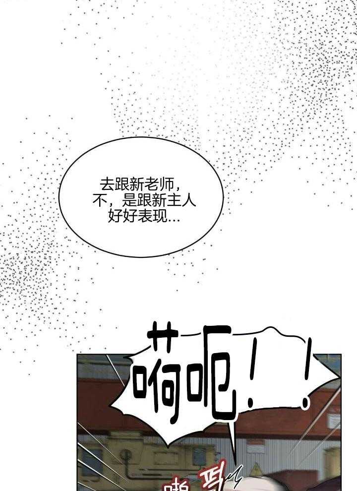 《物种起源》漫画最新章节第93话免费下拉式在线观看章节第【30】张图片