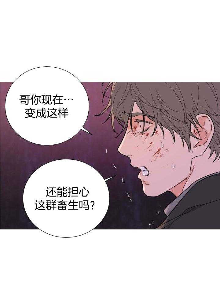 《囚笼之爱》漫画最新章节第66话免费下拉式在线观看章节第【9】张图片