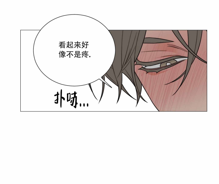 《囚笼之爱》漫画最新章节第25话免费下拉式在线观看章节第【11】张图片