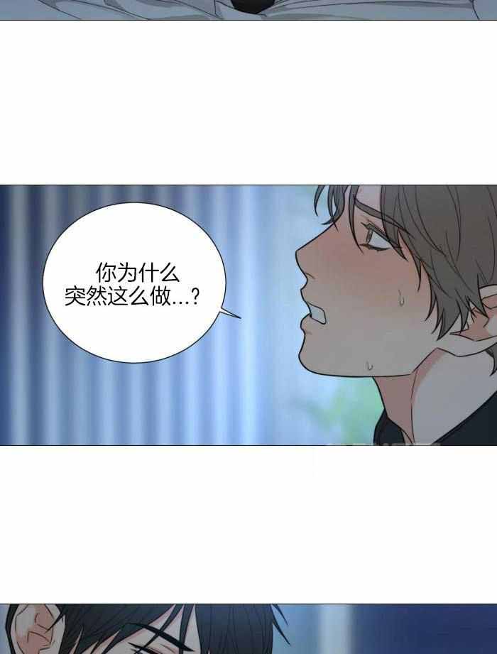 《囚笼之爱》漫画最新章节第72话免费下拉式在线观看章节第【5】张图片