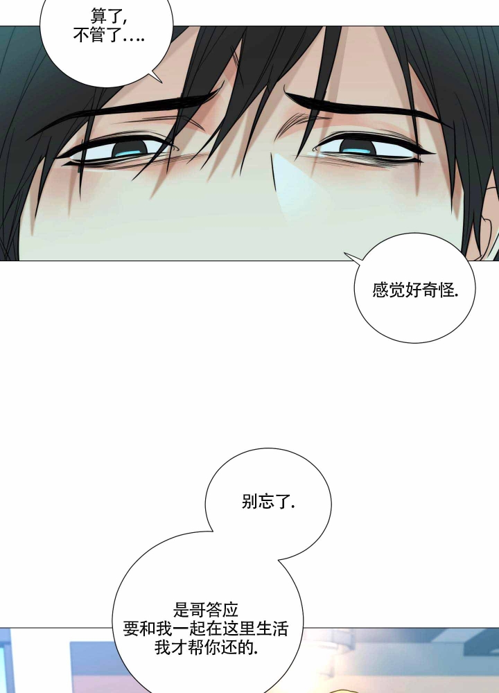 《囚笼之爱》漫画最新章节第11话免费下拉式在线观看章节第【5】张图片