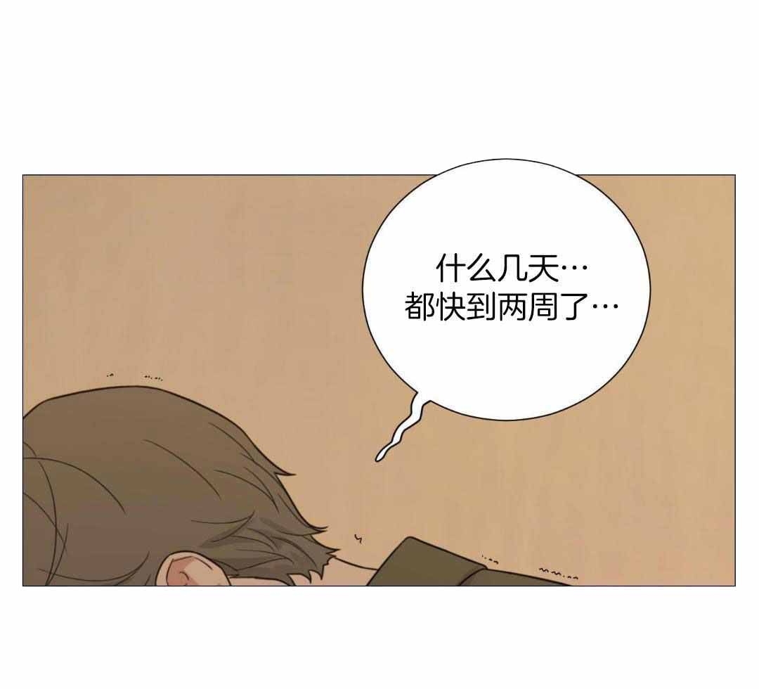 《囚笼之爱》漫画最新章节第80话免费下拉式在线观看章节第【18】张图片