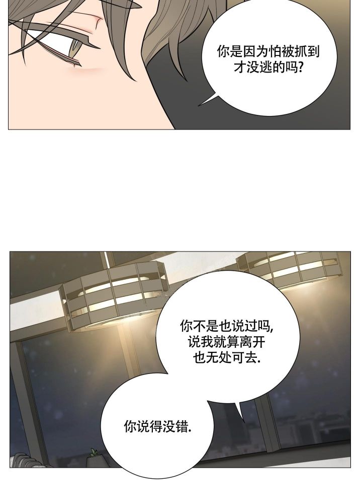 《囚笼之爱》漫画最新章节第31话免费下拉式在线观看章节第【21】张图片