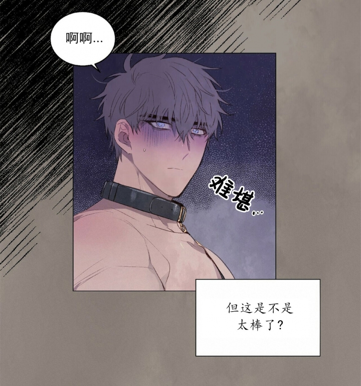 《可爱的项圈》漫画最新章节第33话免费下拉式在线观看章节第【9】张图片