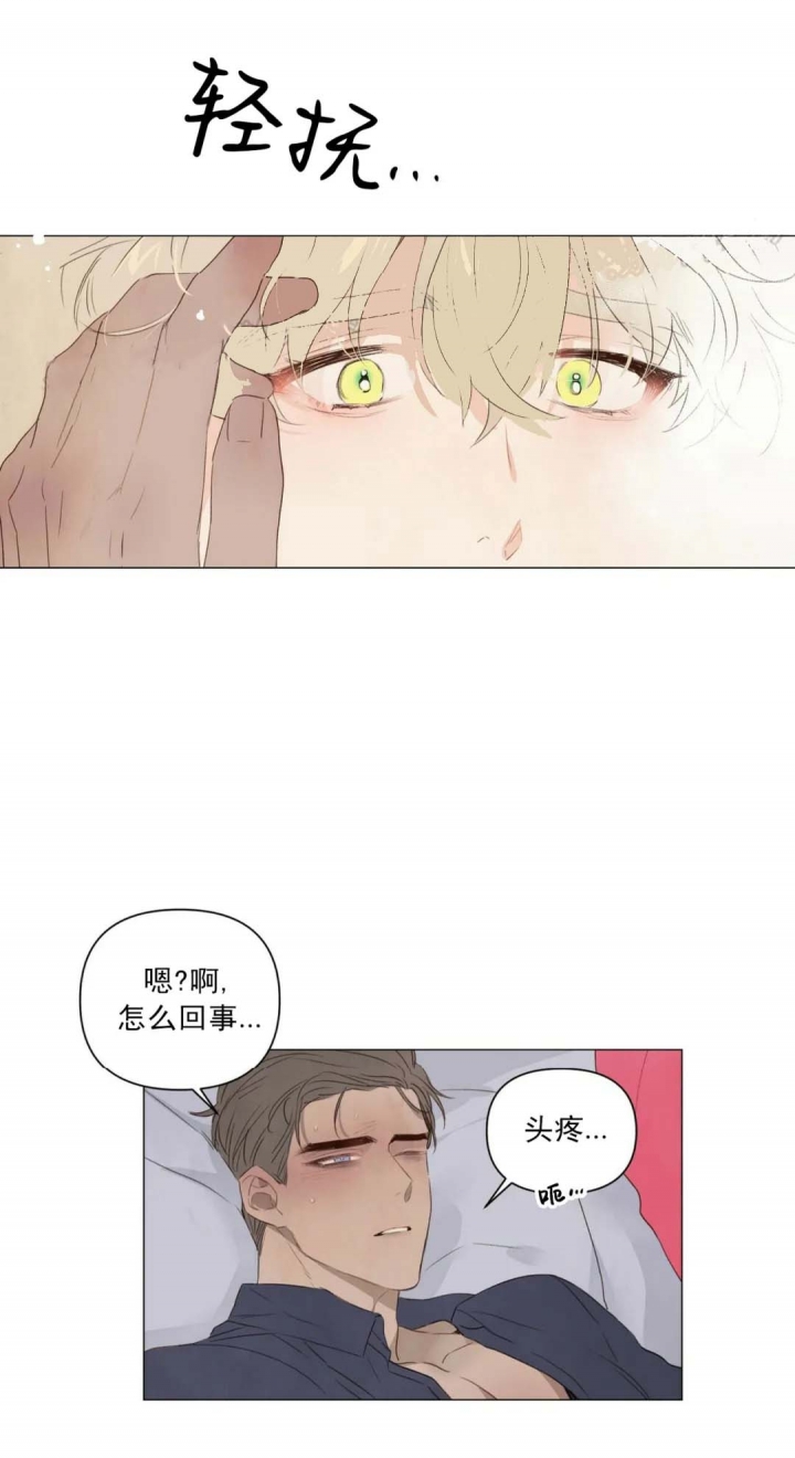 《可爱的项圈》漫画最新章节第50话免费下拉式在线观看章节第【10】张图片