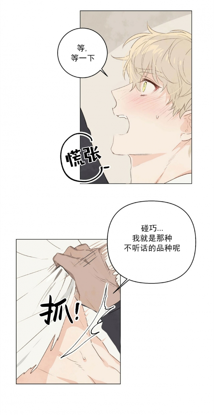 《可爱的项圈》漫画最新章节第10话免费下拉式在线观看章节第【10】张图片