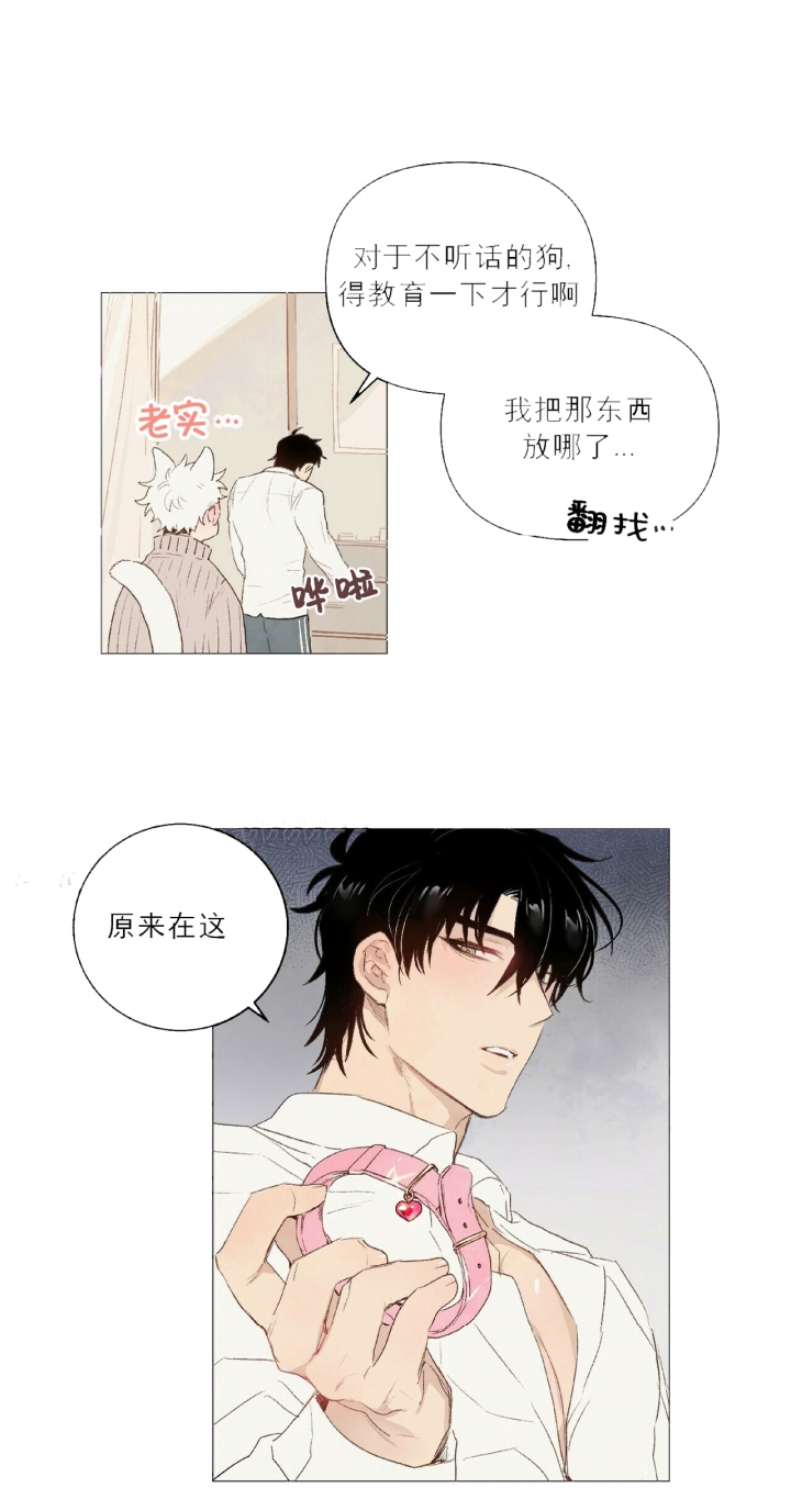 《可爱的项圈》漫画最新章节第28话免费下拉式在线观看章节第【10】张图片