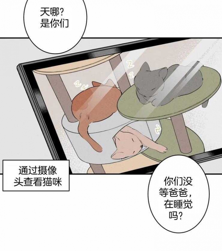 《结婚？可以啊》漫画最新章节第61话免费下拉式在线观看章节第【15】张图片