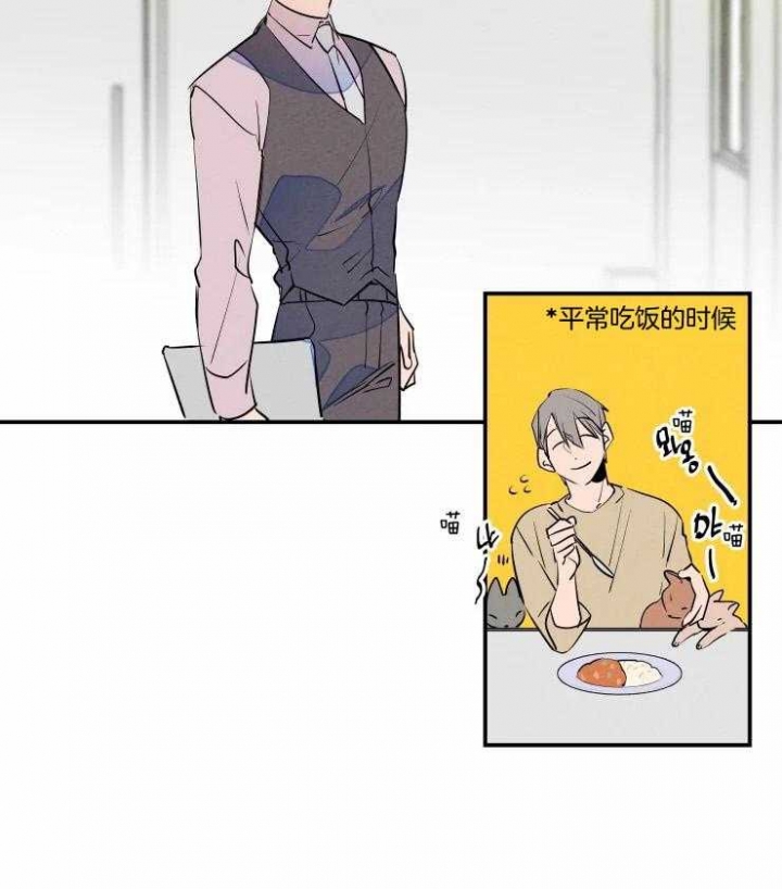 《结婚？可以啊》漫画最新章节第61话免费下拉式在线观看章节第【18】张图片