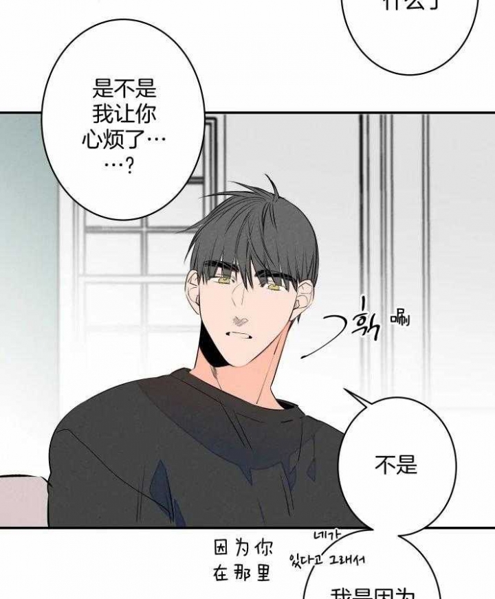 《结婚？可以啊》漫画最新章节第72话免费下拉式在线观看章节第【40】张图片