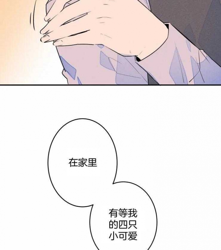 《结婚？可以啊》漫画最新章节第61话免费下拉式在线观看章节第【11】张图片