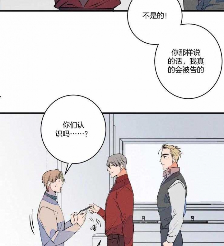 《结婚？可以啊》漫画最新章节第71话免费下拉式在线观看章节第【34】张图片