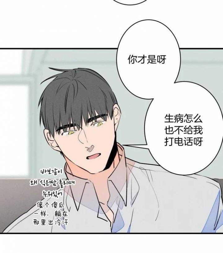 《结婚？可以啊》漫画最新章节第53话免费下拉式在线观看章节第【20】张图片