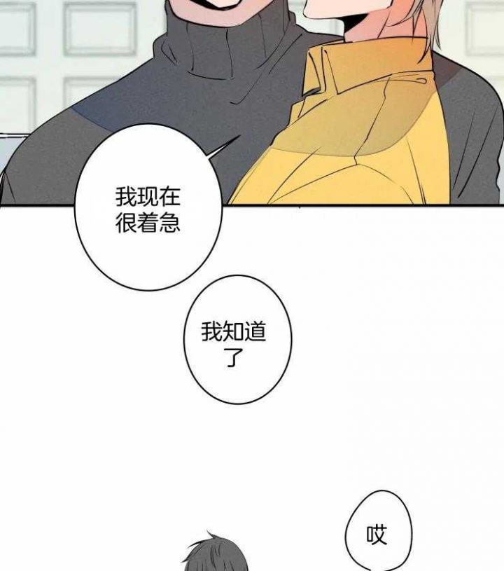 《结婚？可以啊》漫画最新章节第66话免费下拉式在线观看章节第【13】张图片