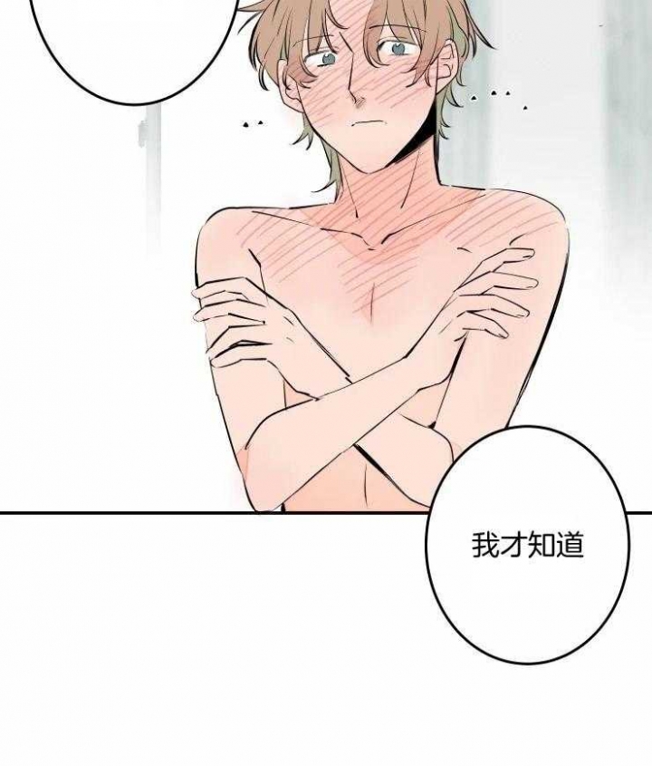 《结婚？可以啊》漫画最新章节第56话免费下拉式在线观看章节第【14】张图片